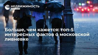 Больше, чем кажется: топ-5 интересных фактов о московской ливневке