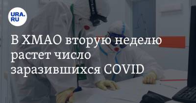 В ХМАО вторую неделю растет число заразившихся COVID