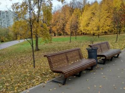 «Выше климатической нормы»: синоптики пообещали москвичам теплое начало октября