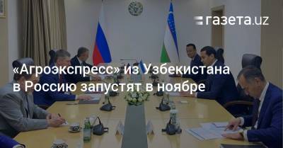 «Агроэкспресс» из Узбекистана в Россию запустят в ноябре