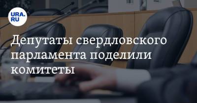 Депутаты свердловского парламента поделили комитеты