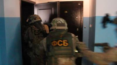ФСБ сообщила о задержании в Уфе неонацистов, готовивших теракт