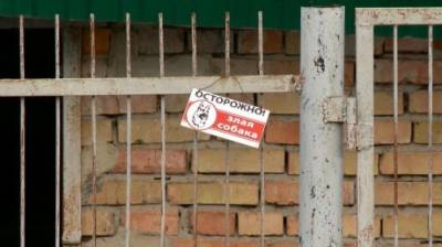 Пензенцам пообещали отловить бездомных псов на Ново-Казанской