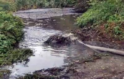 В Весьегонске Тверской области нечистоты сливают в лес