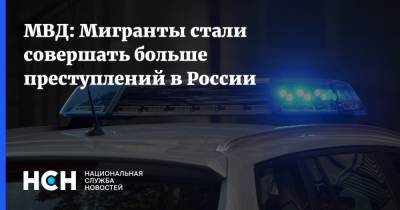 МВД: Мигранты стали совершать больше преступлений в России
