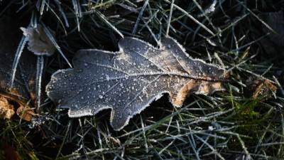 Синоптики предупредили о заморозках до -5 ˚С в Свердловской области