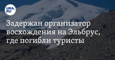 Задержан организатор восхождения на Эльбрус, где погибли туристы