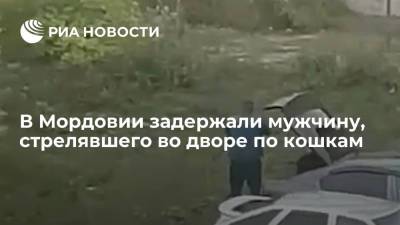 Полиция Мордовии проводит проверку из-за мужчины, устроившего стрельбу по кошкам во дворе