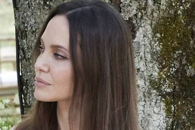 Анджелина Джоли вышла в свет со своим новым мужчиной