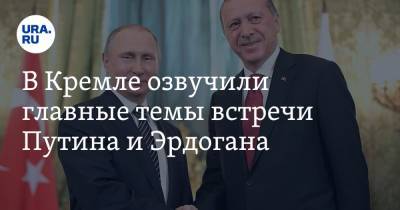 В Кремле озвучили главные темы встречи Путина и Эрдогана
