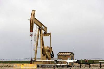 Мировой спрос на нефть достигнет допандемического уровня к началу 2022 года