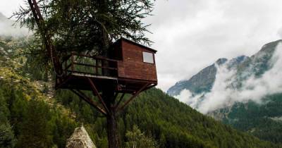 Панорамные иглу и дома на дереве: самые необычные отели мира