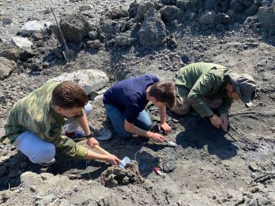 В геопарке «Ундория» раскопали сразу два скелета ихтиозавров