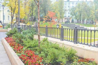 В парках Москвы этой осенью высадят более 8500 именных деревьев