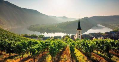 Шпетбургундер, мюллер-тургау или гевюрцтраминер: Какие вина Германии стоит попробовать