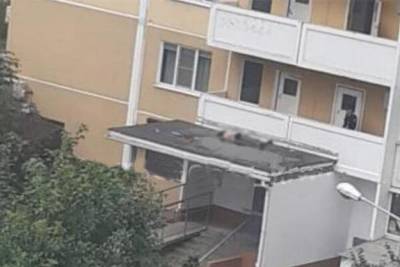 Девушка разбилась насмерть, выпав из окна в Краснодаре