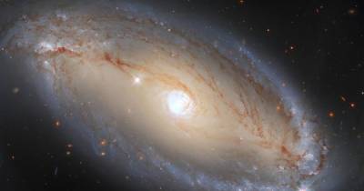 Космический телескоп Хаббла сделал новый снимок спиральной галактики, но кое-что упустил из виду