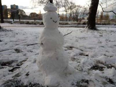 Гидрометцентр рассказал, какой будет предстоящая зима в России
