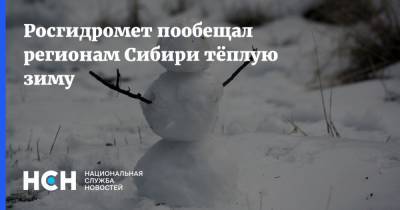 Росгидромет пообещал регионам Сибири тёплую зиму