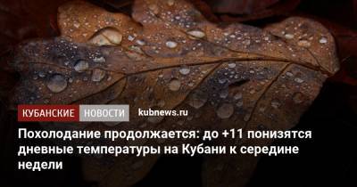 Похолодание продолжается: до +11 понизятся дневные температуры на Кубани к середине недели