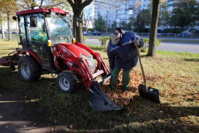В Петербурге бушует листопад: на улицы вышли более 500 единиц уборочной техники