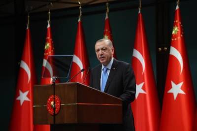 Автор публикации в турецкой газете Milliyet предположил, что визит Эрдогана к Путину завершится «сюрпризом»