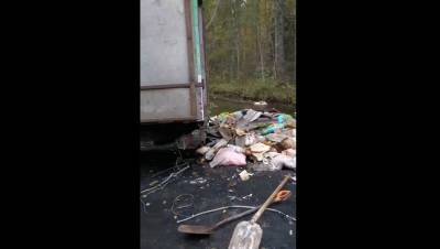 Росприроднадзор установит тех, кто сбрасывал мусор в Старопетергофский канал
