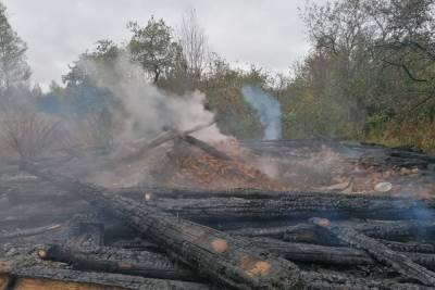 В Новоржевском районе проводят проверку по сообщению о гибели людей на пожаре