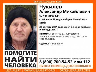 В Прилузье за пропавшего грибника объявили вознаграждение в 50 тысяч рублей