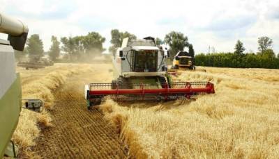 Урожай-2021: Украина может пересечь отметку в 100 млн тонн зерновых