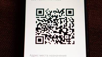 В Самарской области введут QR-коды для посещения ряда общественных мест