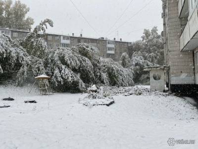 Побитые машины и перекрытые улицы: последствия внезапного снегопада в Кузбассе