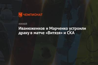 Иванюженков и Марченко устроили драку в матче «Витязя» и СКА