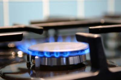 Более трех тысяч заявок уже поданы на проведение газа к участкам в Ленобласти