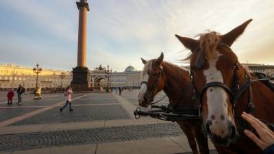 Тройка запряженных девушек: неизвестные перфоманс на Дворцовой площади Петербурге