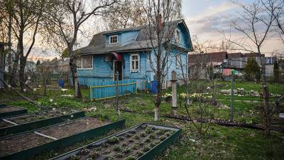 Агроном Викулов дал советы по подготовке почвы и уличных растений к зиме