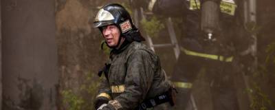 За неделю в Новосибирской области в пожарах погибли три человека
