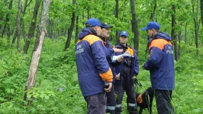 В Приморье продолжается поиск пропавших в районе горы Фалаза туристок