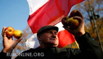 После встречи Лаврова и Рау поляки поняли, что РФ не передумает насчет их яблок