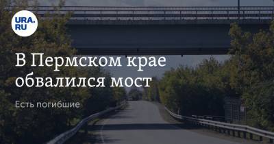 В Пермском крае обвалился мост. Есть погибшие