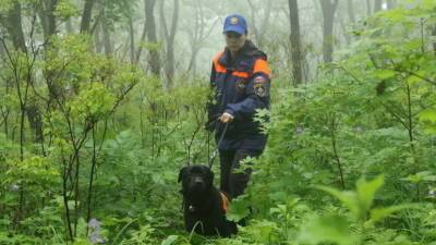 Пропавшие в районе горы Фалаза в Приморье туристки найдены