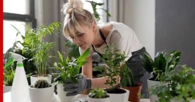 Как сберечь растения во время отъезда: простые решения