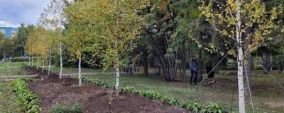 В Барнауле этой осенью высадят пятьсот молодых деревьев