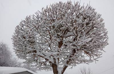 Районы Башкирии завалило снегом