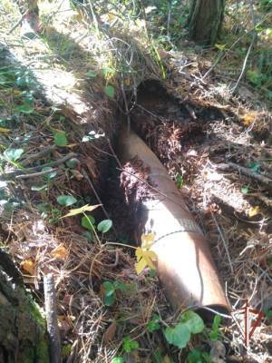 На Среднем Урале грибник нашел в лесу огромный боевой снаряд со взрывателем