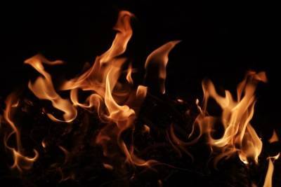 На пожаре в тульском поселке Плеханово погибла 83-летняя женщина