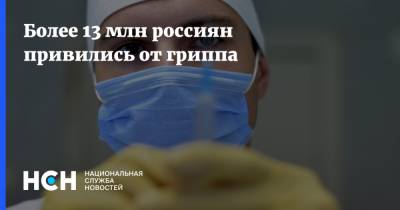Более 13 млн россиян привились от гриппа