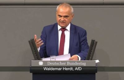 В Бундестаге заявили о движении Германии к «зеленому маразму»