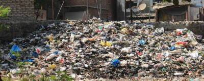 На левобережье Омска нашли незаконную свалку мусора