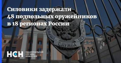 Силовики задержали 48 подпольных оружейников в 18 регионах России
